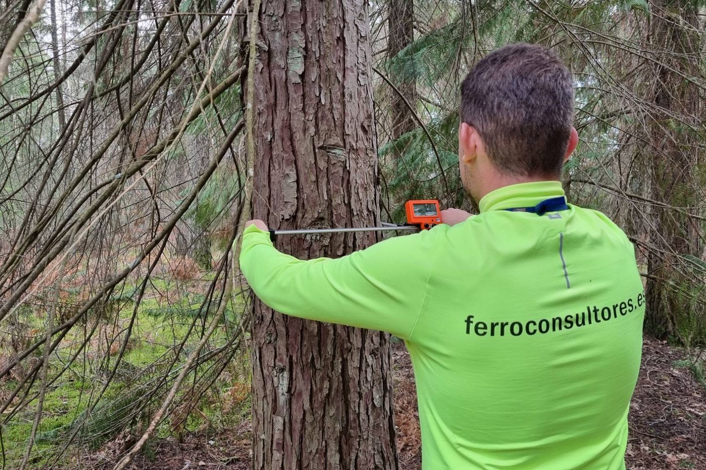 Inventario forestal en Portugal