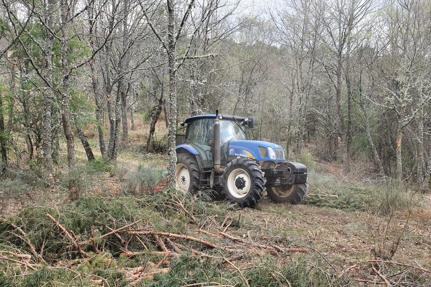 Ayudas a la prevención de incendios